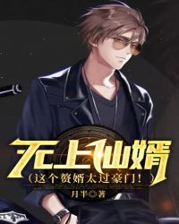 无上仙婿(这个赘婿太过豪门!)