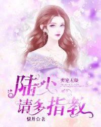 蜜宠无限:陆少请多指教