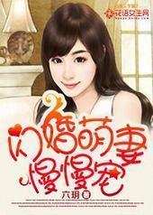 闪婚萌妻慢慢宠