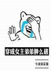 穿成女主弟弟肿么破