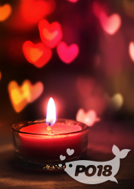 养个小狼崽儿(H)