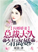 闪婚娇妻:总裁大人请离婚