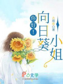 你好!向日葵小姐