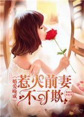 婚爱晚成,惹火前妻不可欺
