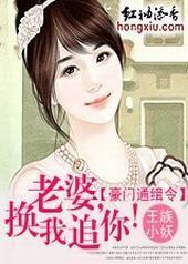 豪门通缉令:老婆,换我追你!