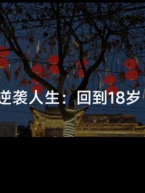 逆袭人生:回到18岁