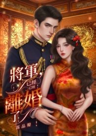将军,我们已经离婚了