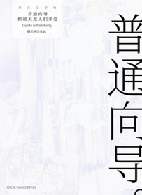 普通向导,但被天龙人们求爱