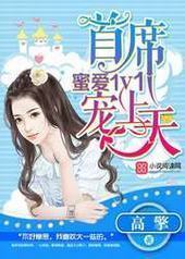 蜜爱1V1:首席宠上天