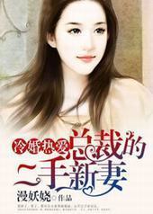冷婚热爱:总裁的二婚新妻