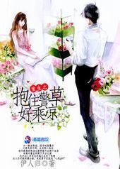 ����֮��ס���ݺó���