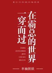 在霸总的世界一穿而过