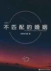 不匹配的婚姻 完结+番外