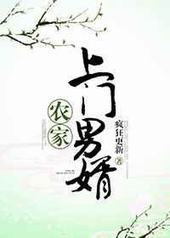 农家上门男婿 完结+番外