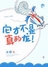 它才不是真的龙!