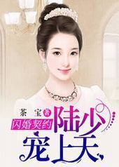 闪婚契约:陆少宠妻上天
