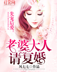 先宠后爱:老婆大人请复婚