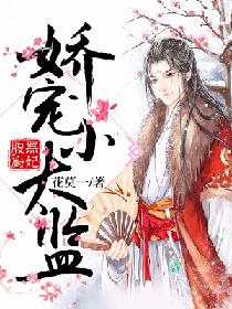 娇宠小太监:腹黑厨妃