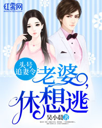 头号追妻令:老婆,休想逃