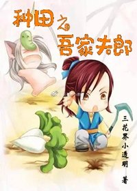 种田之吾家夫郎