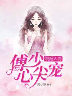 暖婚入骨:傅少心尖宠