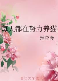 每天都在努力养猫