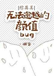 [Ӣ]޷Խֵbug