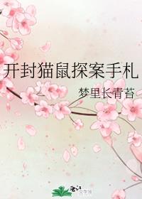 开封猫鼠探案手札