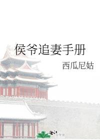侯爷追妻手册