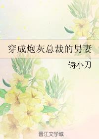 穿成炮灰总裁的男妻
