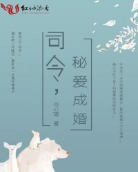 司令,秘爱成婚