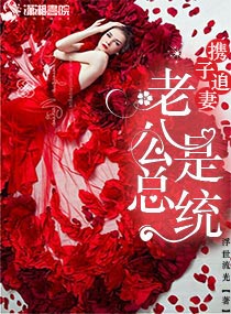 携子追妻:老公是总统