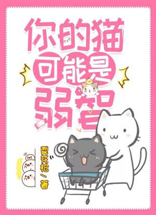 你的猫可能是弱智