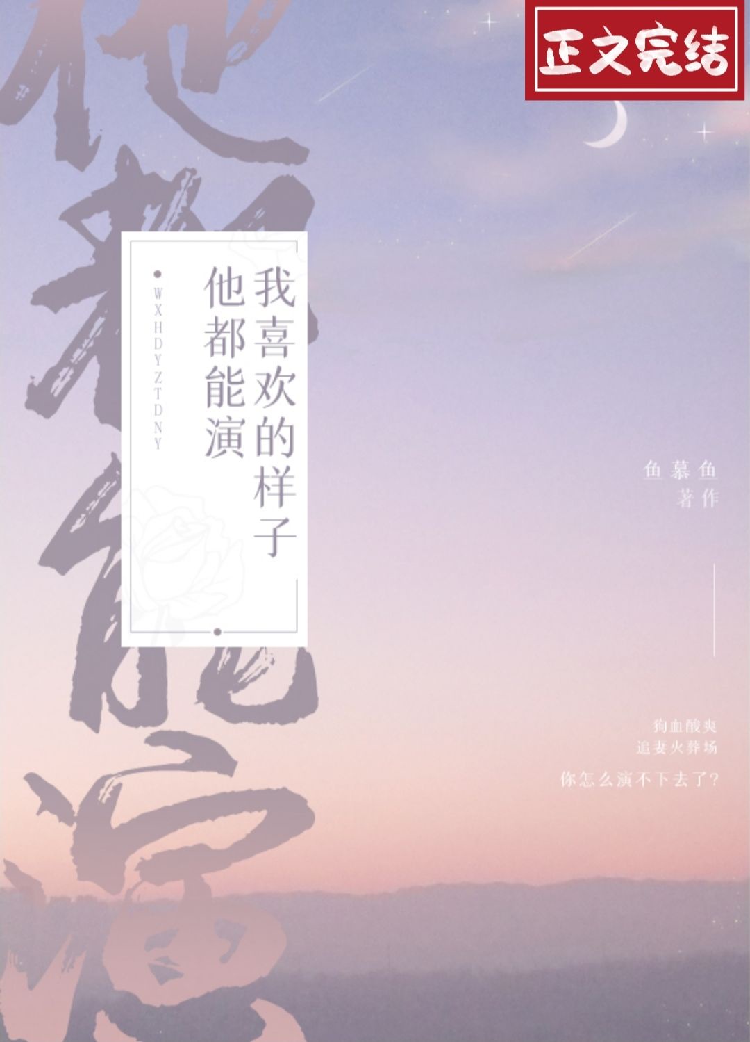 我喜欢的样子他都能演