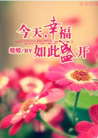 今天,幸福如此盛开