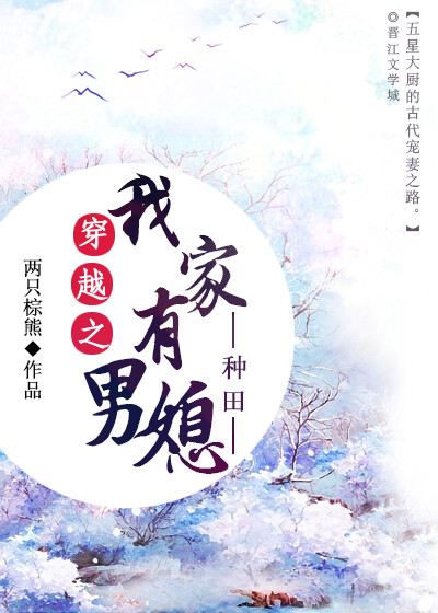 穿越之我家有男媳