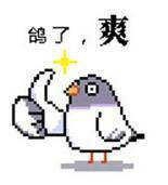 山神和我结婚是为了搞开发