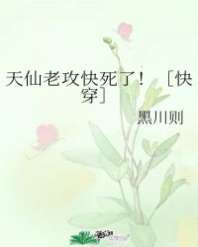 �����Ϲ�������[�촩]