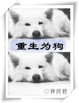 ����Ϊ��