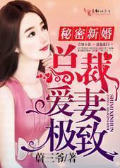 秘密新婚,总裁爱妻极致