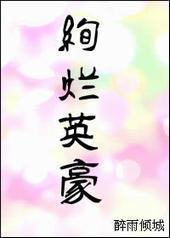 绚烂英豪